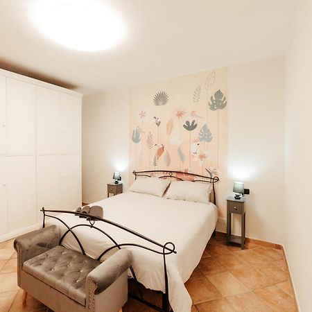شقة Cr32 Tourist Accomodation شيفيتافيكْيا المظهر الخارجي الصورة
